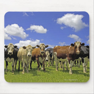 Neuseeland, Nordinsel, Auckland Mousepad