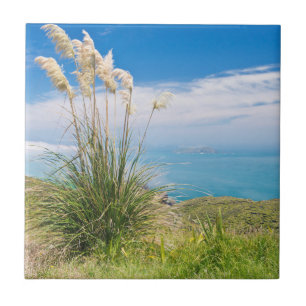 Neuseeland, Nordinsel, Cape Reinga Fliese