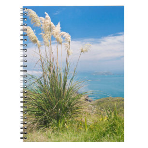 Neuseeland, Nordinsel, Cape Reinga Notizblock