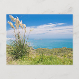Neuseeland, Nordinsel, Kap Reinga Postkarte