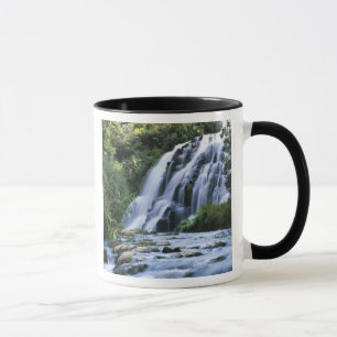 Neuseeland, Nordinsel, Karangahake Gorge, Tasse