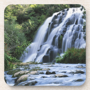 Neuseeland, Nordinsel, Karangahake Gorge, Untersetzer