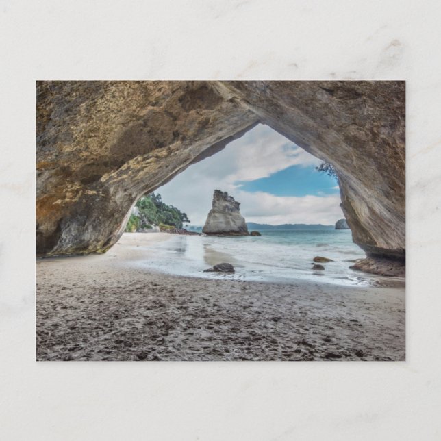 Neuseeland, North Island, Coromandel Halbinsel Postkarte (Vorderseite)