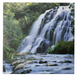 Neuseeland, North Island, Karangahake Gorge, Fliese