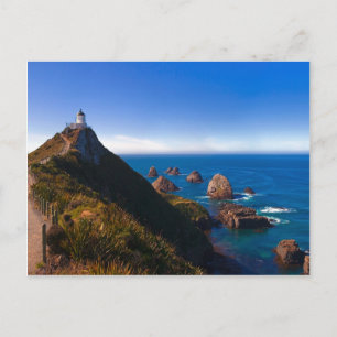 Neuseeland: Nugget Point Postkarte