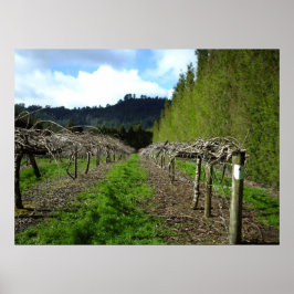 Neuseeland Posters Poster