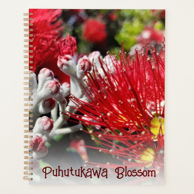 Neuseeland Red Christmas Tree Blossom Planer (Vorderseite)