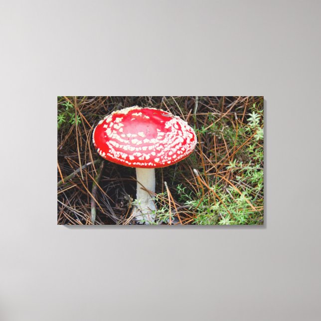 Neuseeland, Rotorua, Taupo Vulkanzone Leinwanddruck (Vorderseite)