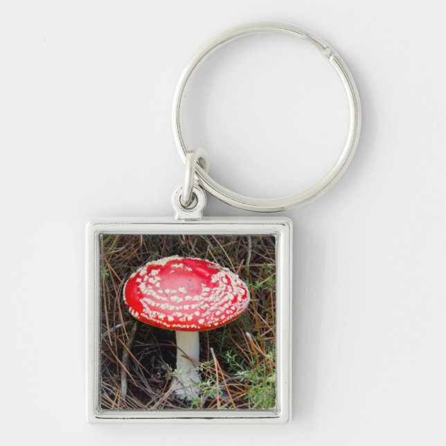 Neuseeland, Rotorua, Taupo Vulkanzone Schlüsselanhänger (Vorne)