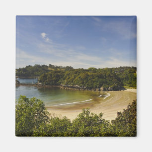 Neuseeland, Southland, Stewart Island, Halfmoon Magnet