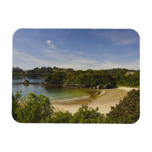 Neuseeland, Southland, Stewart Island, Halfmoon Magnet