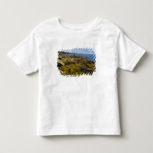 Neuseeland, Southland, Stewart Island. Kelp Kleinkind T-shirt