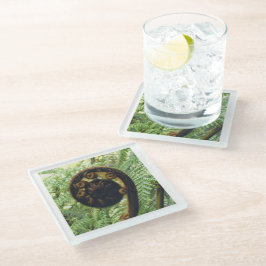 Neuseeland Souvenir Fern Koru Foto Glasuntersetzer