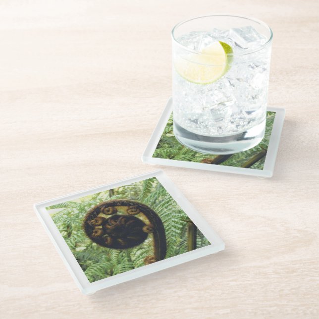 Neuseeland Souvenir Fern Koru Foto Glasuntersetzer (Schrägansicht)