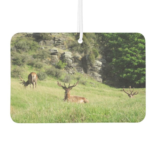 Neuseeland Stags Autolufterfrischer (Vorderseite)