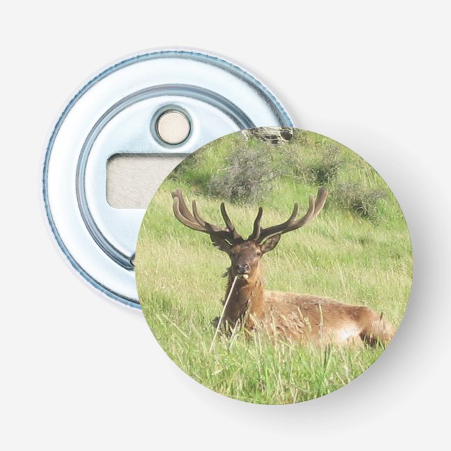 Neuseeland Stags Flaschenöffner (Vorderseite)