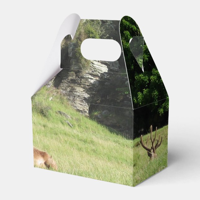 Neuseeland Stags Geschenkschachtel (Vorderseite)