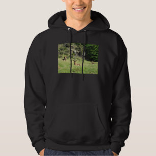 Neuseeland Stags Hoodie