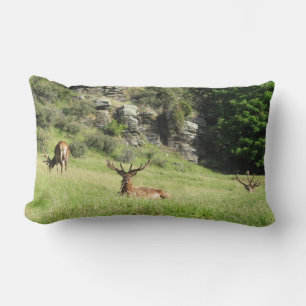 Neuseeland Stags Lendenkissen