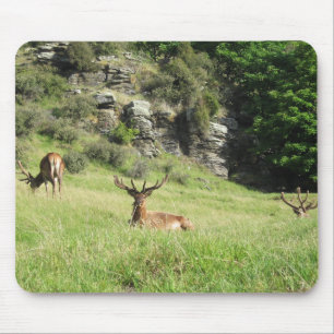 Neuseeland Stags Mousepad