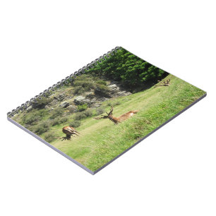 Neuseeland Stags Notizblock