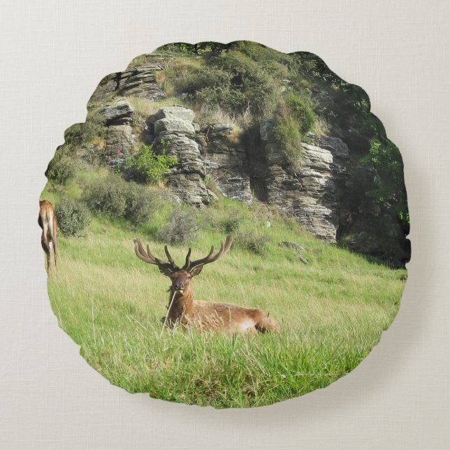 Neuseeland Stags Rundes Kissen (Vorderseite)