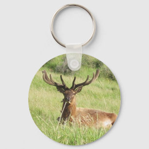 Neuseeland Stags Schlüsselanhänger