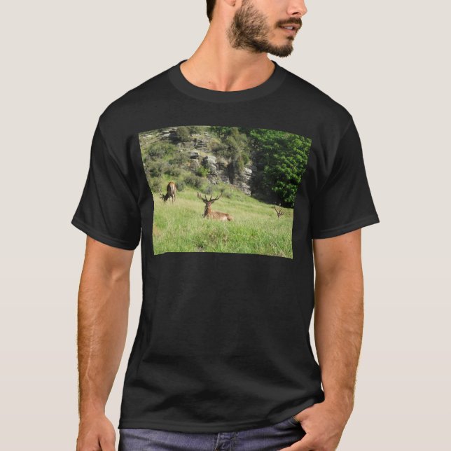 Neuseeland Stags T-Shirt (Vorderseite)