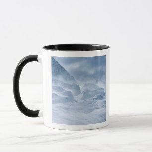 Neuseeland, Südinsel, Arrowsmith Range. Tasse