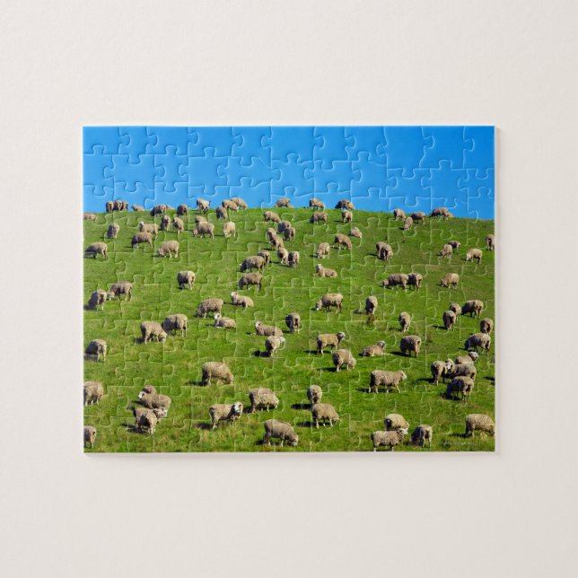 Neuseeland, Südinsel, Canterbury (Horizontal)
