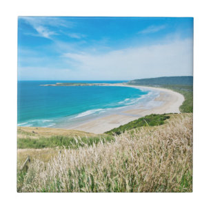 Neuseeland, Südinsel, Catlins, Tautuku Bay Fliese
