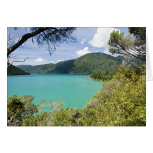 Neuseeland, Südinsel, Marlborough Sounds.