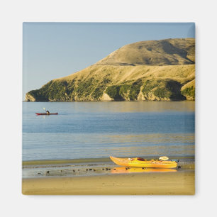 Neuseeland, Südinsel, Marlborough Sounds. 2 Magnet