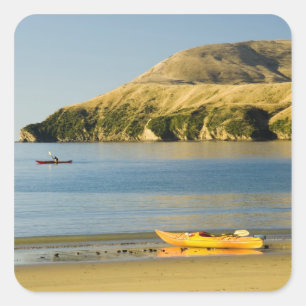 Neuseeland, Südinsel, Marlborough Sounds. 2 Quadratischer Aufkleber
