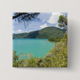 Neuseeland, Südinsel, Marlborough Sounds. Button