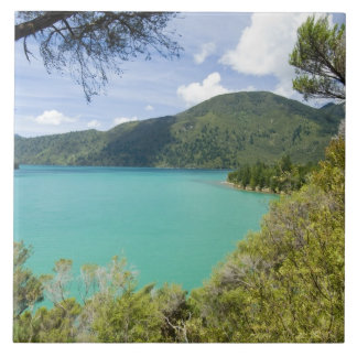 Neuseeland, Südinsel, Marlborough Sounds. Fliese