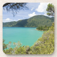 Neuseeland, Südinsel, Marlborough Sounds.