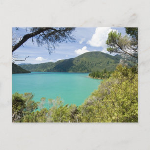 Neuseeland, Südinsel, Marlborough Sounds. Postkarte