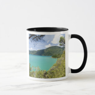 Neuseeland, Südinsel, Marlborough Sounds. Tasse