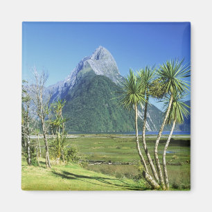 Neuseeland, Südinsel, Miter Peak, Magnet