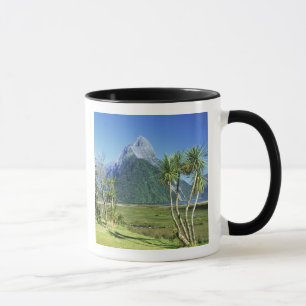 Neuseeland, Südinsel, Miter Peak, Tasse