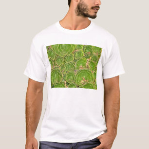 Neuseeland, Südinsel. Sukkulente. T-Shirt