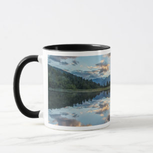 Neuseeland, Südinsel, Westland National Tasse