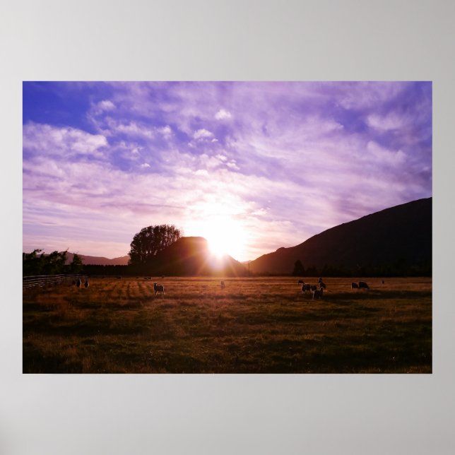 Neuseeland Sunrise Poster (Vorne)