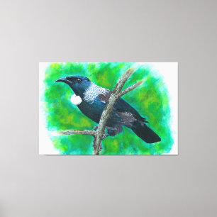 Neuseeland Tui - Malerei in Acryl Leinwanddruck
