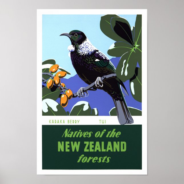 Neuseeland Vintage Travel Poster neu (Vorne)