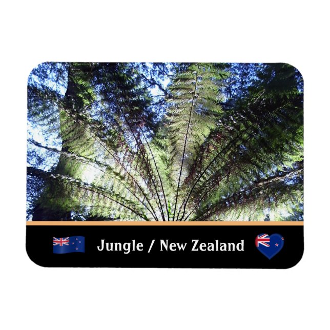 Neuseeland, Wald von Fernbaum / Dschungelwandern Magnet (Horizontal)