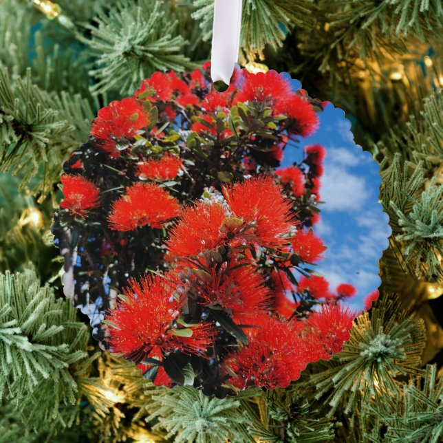 Neuseeland - Weihnachtsbaum Ornament Karte (Insitu (Baum))