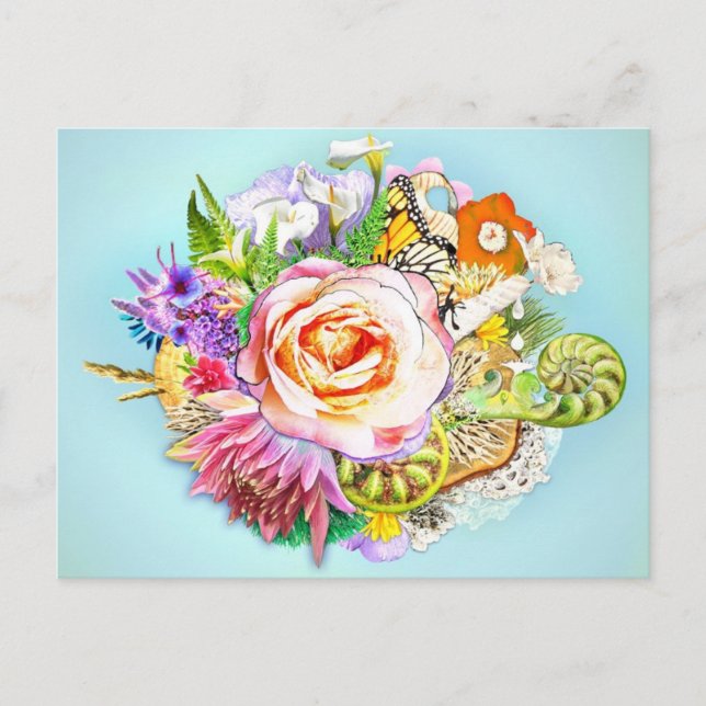 Neuseeländische Collage Postkarte (Vorderseite)