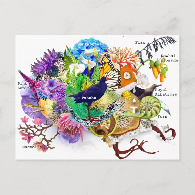 Neuseeländische Collage Postkarte (Vorderseite)